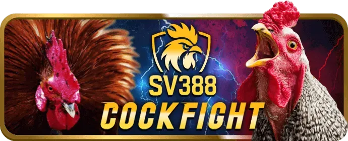 Hướng dẫn đăng ký và cá cược f3 bet